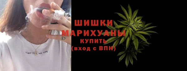 стафф Новодвинск