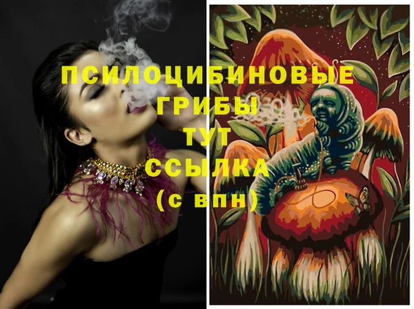 гидропоника Видное