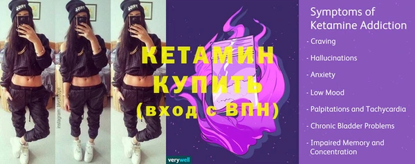 стафф Новодвинск