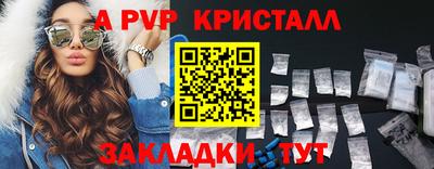 тгк Кингисепп