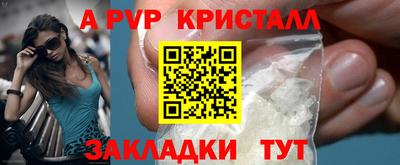 тгк Кингисепп