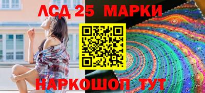 тгк Кингисепп