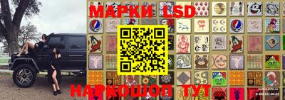 индика Апшеронск