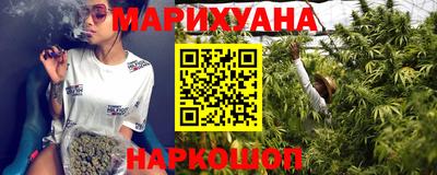 тгк Кингисепп