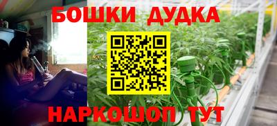 тгк Кингисепп
