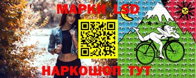 стафф Аргун