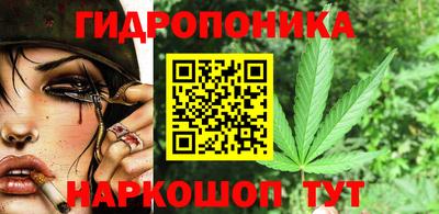 тгк Кингисепп