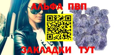 тгк Кингисепп
