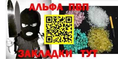 тгк Кингисепп