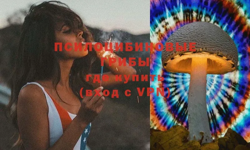 Галлюциногенные грибы Magic Shrooms  Усолье-Сибирское 