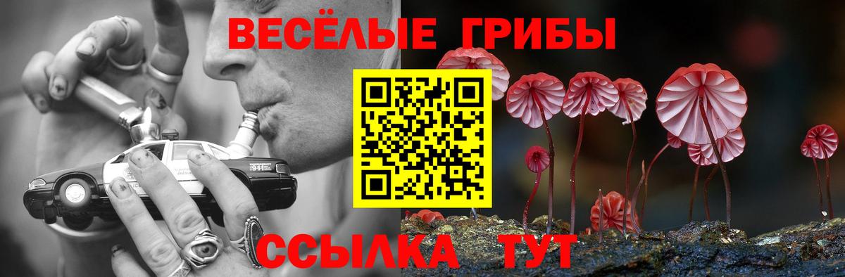 Усолье-Сибирское  Галлюциногенные грибы Magic Shrooms  Вход с VPN 
